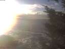 ./images/koeye/fitz-hugh/20250110/fitz-hugh20250110_153002.jpg