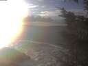 ./images/koeye/fitz-hugh/20250110/fitz-hugh20250110_153502.jpg
