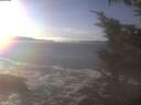 ./images/koeye/fitz-hugh/20250112/fitz-hugh20250112_144002.jpg