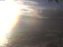 ./images/koeye/fitz-hugh/20250116/fitz-hugh20250116_154502.jpg