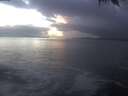 ./images/koeye/fitz-hugh/20250116/fitz-hugh20250116_165002.jpg