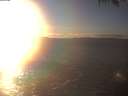 ./images/koeye/fitz-hugh/20250117/fitz-hugh20250117_160502.jpg