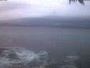 ./images/koeye/fitz-hugh/20250120/fitz-hugh20250120_074502.jpg