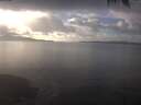 ./images/koeye/fitz-hugh/20250123/fitz-hugh20250123_151501.jpg