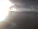 ./images/koeye/fitz-hugh/20250123/fitz-hugh20250123_152501.jpg