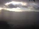 ./images/koeye/fitz-hugh/20250123/fitz-hugh20250123_153501.jpg