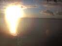 ./images/koeye/fitz-hugh/20250123/fitz-hugh20250123_164502.jpg
