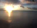./images/koeye/fitz-hugh/20250123/fitz-hugh20250123_165502.jpg
