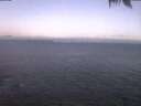 ./images/koeye/fitz-hugh/20250124/fitz-hugh20250124_073502.jpg