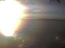 ./images/koeye/fitz-hugh/20250124/fitz-hugh20250124_161501.jpg