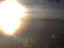 ./images/koeye/fitz-hugh/20250124/fitz-hugh20250124_162502.jpg