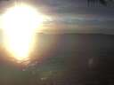 ./images/koeye/fitz-hugh/20250124/fitz-hugh20250124_163502.jpg