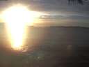 ./images/koeye/fitz-hugh/20250124/fitz-hugh20250124_164002.jpg
