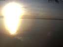 ./images/koeye/fitz-hugh/20250125/fitz-hugh20250125_164001.jpg