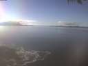./images/koeye/fitz-hugh/20250126/fitz-hugh20250126_135501.jpg