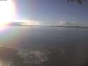./images/koeye/fitz-hugh/20250126/fitz-hugh20250126_144501.jpg