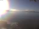 ./images/koeye/fitz-hugh/20250126/fitz-hugh20250126_150501.jpg