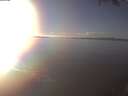 ./images/koeye/fitz-hugh/20250126/fitz-hugh20250126_154002.jpg