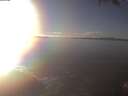 ./images/koeye/fitz-hugh/20250126/fitz-hugh20250126_154502.jpg