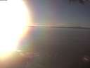 ./images/koeye/fitz-hugh/20250126/fitz-hugh20250126_155502.jpg