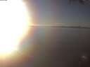 ./images/koeye/fitz-hugh/20250126/fitz-hugh20250126_160002.jpg