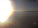 ./images/koeye/fitz-hugh/20250126/fitz-hugh20250126_160502.jpg