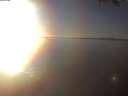 ./images/koeye/fitz-hugh/20250126/fitz-hugh20250126_161002.jpg