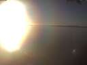 ./images/koeye/fitz-hugh/20250126/fitz-hugh20250126_162002.jpg