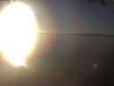 ./images/koeye/fitz-hugh/20250126/fitz-hugh20250126_162502.jpg