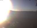 ./images/koeye/fitz-hugh/20250127/fitz-hugh20250127_153501.jpg