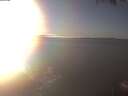 ./images/koeye/fitz-hugh/20250127/fitz-hugh20250127_155001.jpg