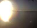 ./images/koeye/fitz-hugh/20250127/fitz-hugh20250127_162502.jpg