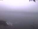 ./images/koeye/fitz-hugh/20250128/fitz-hugh20250128_074002.jpg