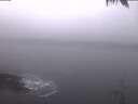 ./images/koeye/fitz-hugh/20250128/fitz-hugh20250128_074502.jpg