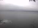 ./images/koeye/fitz-hugh/20250128/fitz-hugh20250128_135002.jpg