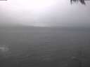 ./images/koeye/fitz-hugh/20250129/fitz-hugh20250129_111002.jpg