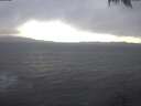 ./images/koeye/fitz-hugh/20250129/fitz-hugh20250129_140501.jpg
