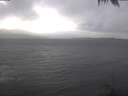 ./images/koeye/fitz-hugh/20250129/fitz-hugh20250129_141502.jpg
