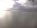 ./images/koeye/fitz-hugh/20250131/fitz-hugh20250131_140002.jpg