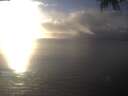 ./images/koeye/fitz-hugh/20250131/fitz-hugh20250131_162002.jpg