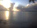 ./images/koeye/fitz-hugh/20250131/fitz-hugh20250131_163502.jpg