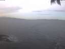 ./images/koeye/fitz-hugh/20250204/fitz-hugh20250204_074501.jpg
