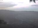./images/koeye/fitz-hugh/20250204/fitz-hugh20250204_075001.jpg