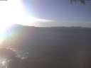 ./images/koeye/fitz-hugh/20250204/fitz-hugh20250204_145502.jpg