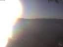 ./images/koeye/fitz-hugh/20250204/fitz-hugh20250204_155002.jpg