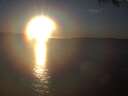 ./images/koeye/fitz-hugh/20250204/fitz-hugh20250204_170501.jpg