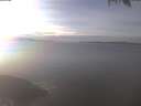 ./images/koeye/fitz-hugh/20250206/fitz-hugh20250206_145502.jpg
