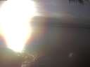 ./images/koeye/fitz-hugh/20250206/fitz-hugh20250206_163002.jpg