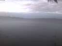 ./images/koeye/fitz-hugh/20250207/fitz-hugh20250207_073002.jpg