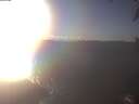 ./images/koeye/fitz-hugh/20250208/fitz-hugh20250208_155501.jpg